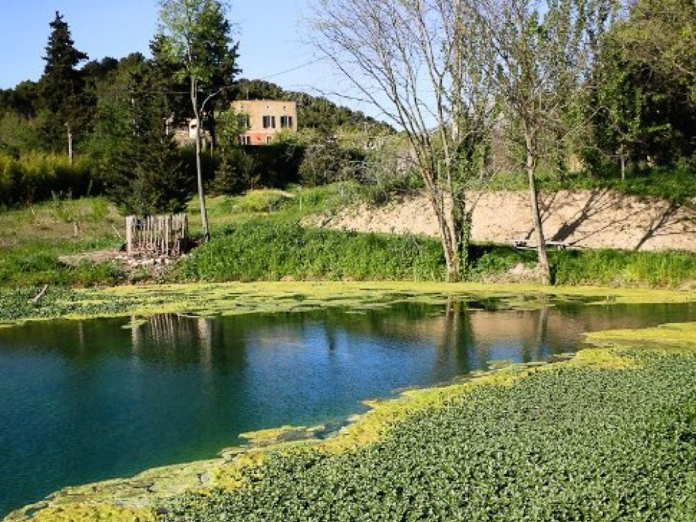 Chateau de la Merletade