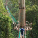 Afbeelding voor Sarawak - Maleisië