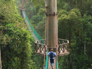 Afbeelding voor Sarawak - Maleisië