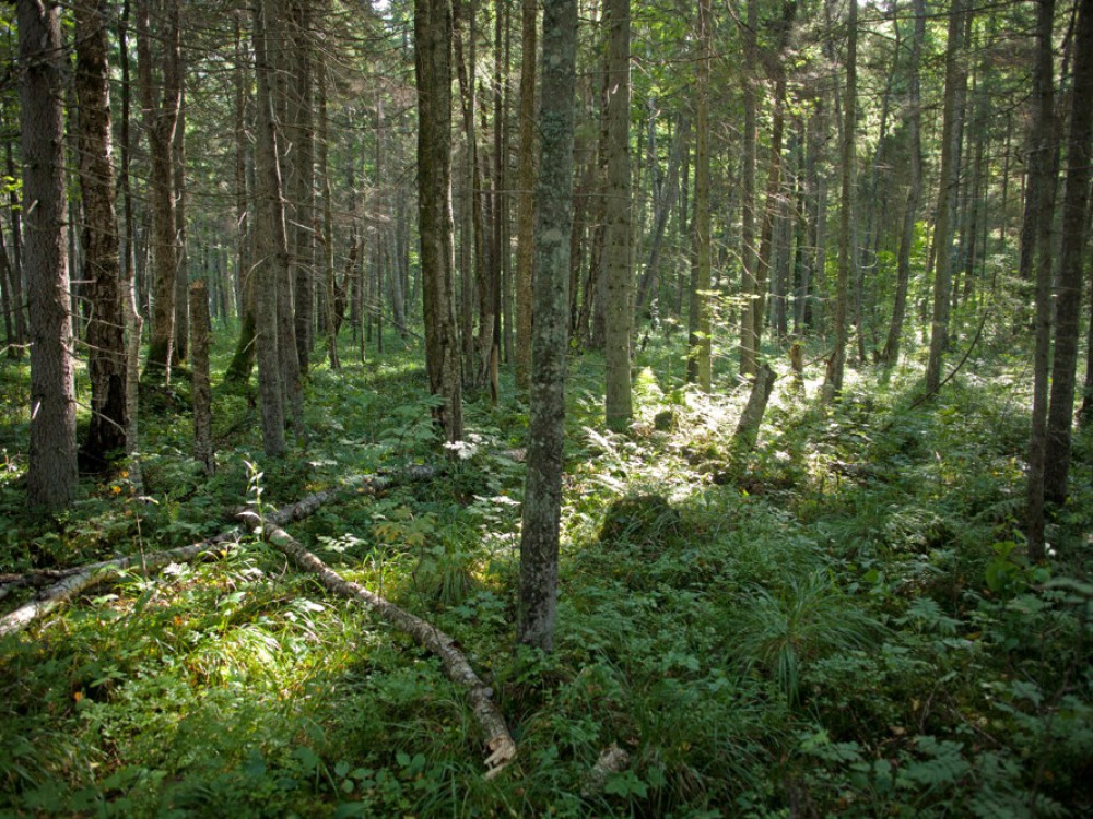 Slitere Nationaal Park