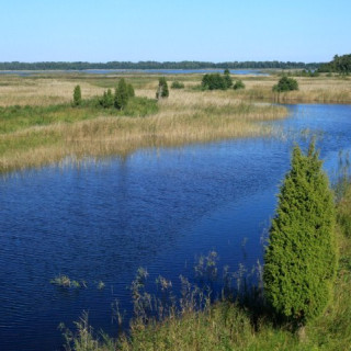 Afbeelding voor Kemeri Nationaal Park