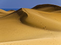 Duinen van Maspalomas