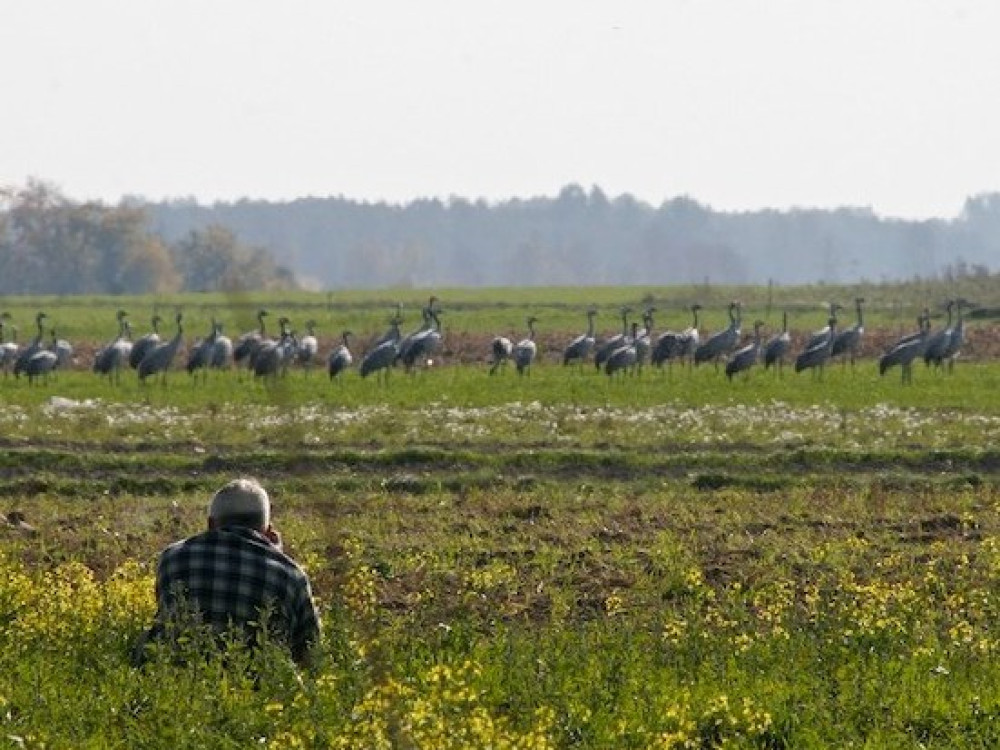 Vogelreis Biebrza