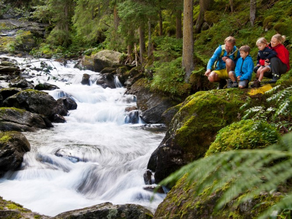 Wilde Wasser, Schladming