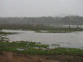 Yala landschap