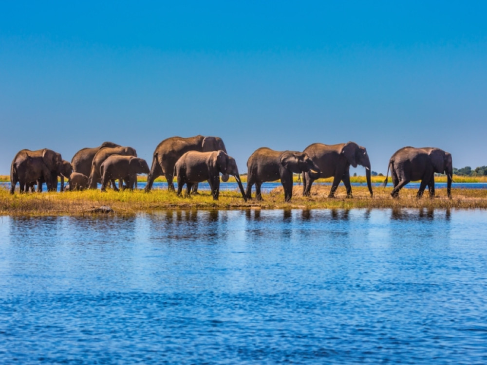 Chobe in Botswana