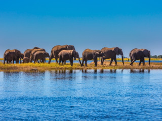 Afbeelding voor Chobe Nationaal Park