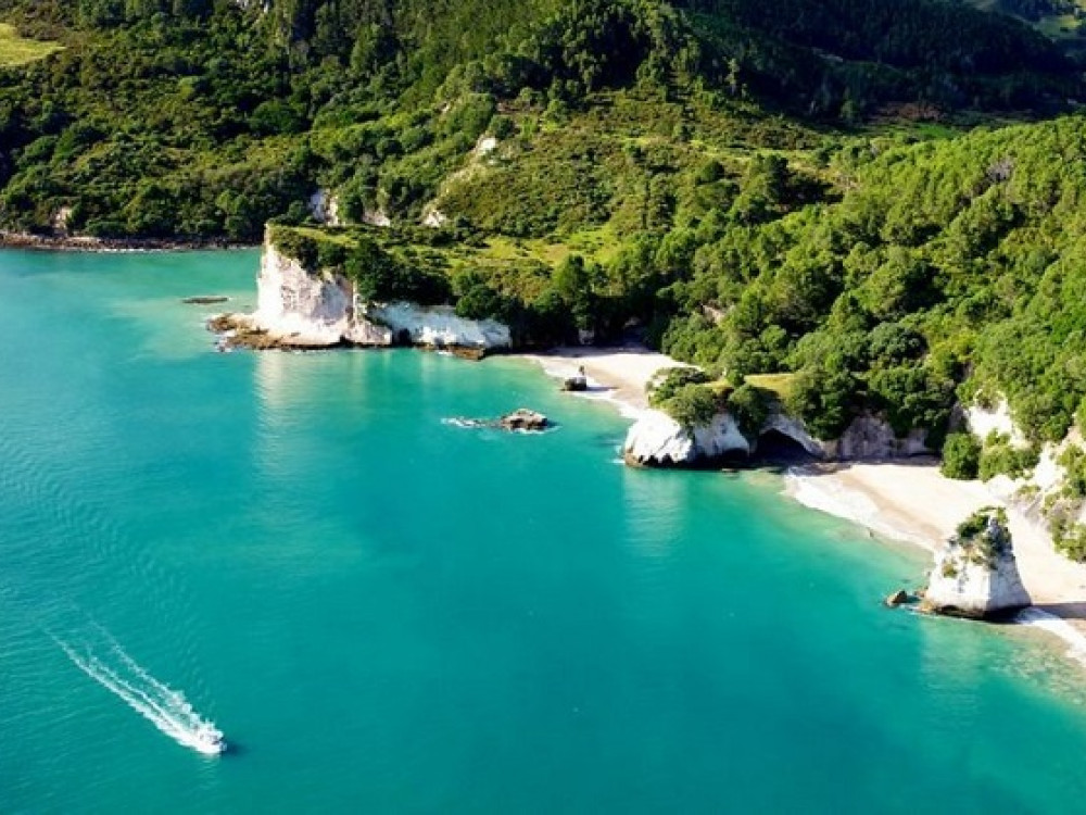 Natuur bij Auckland - Coromandel