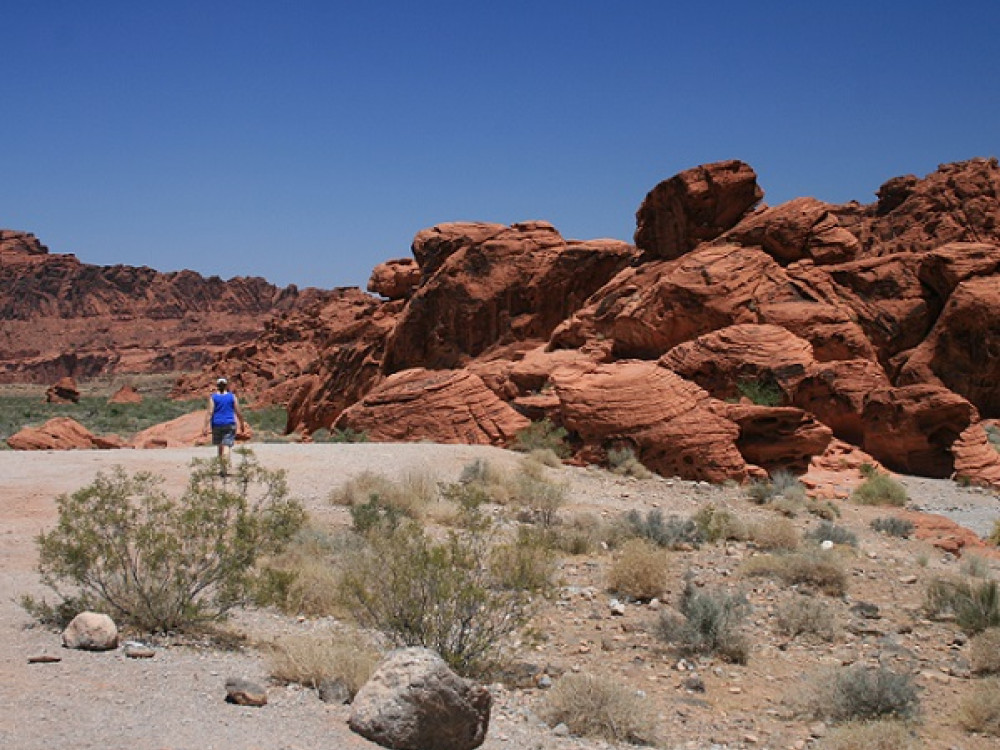 Natuur Las Vegas