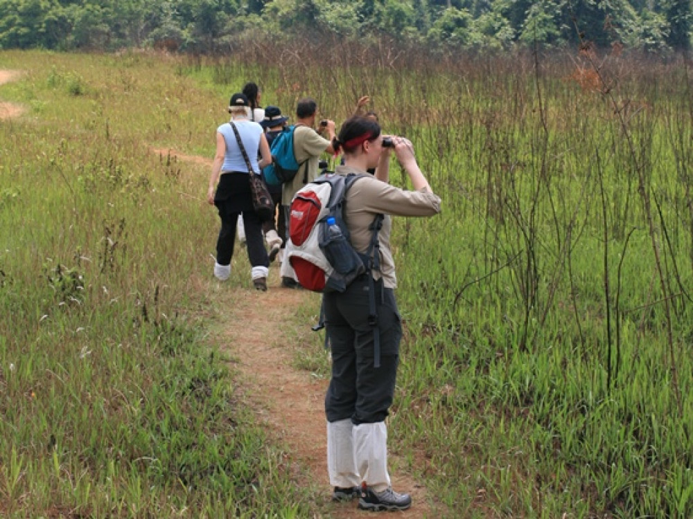 Khao Yai