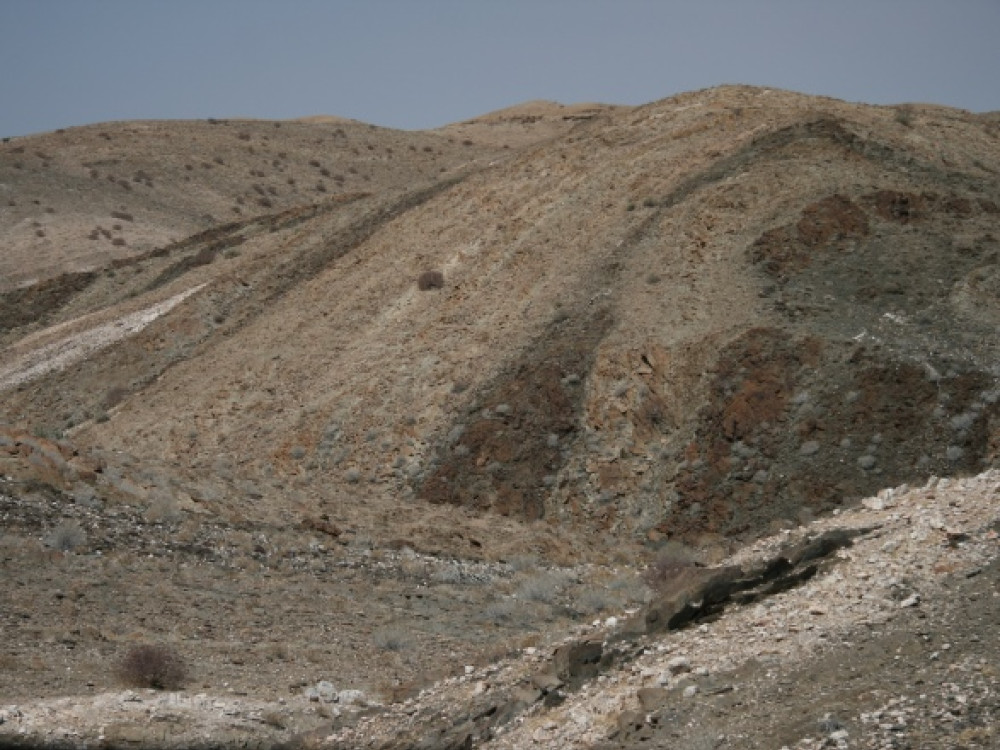 Lijnen landschap