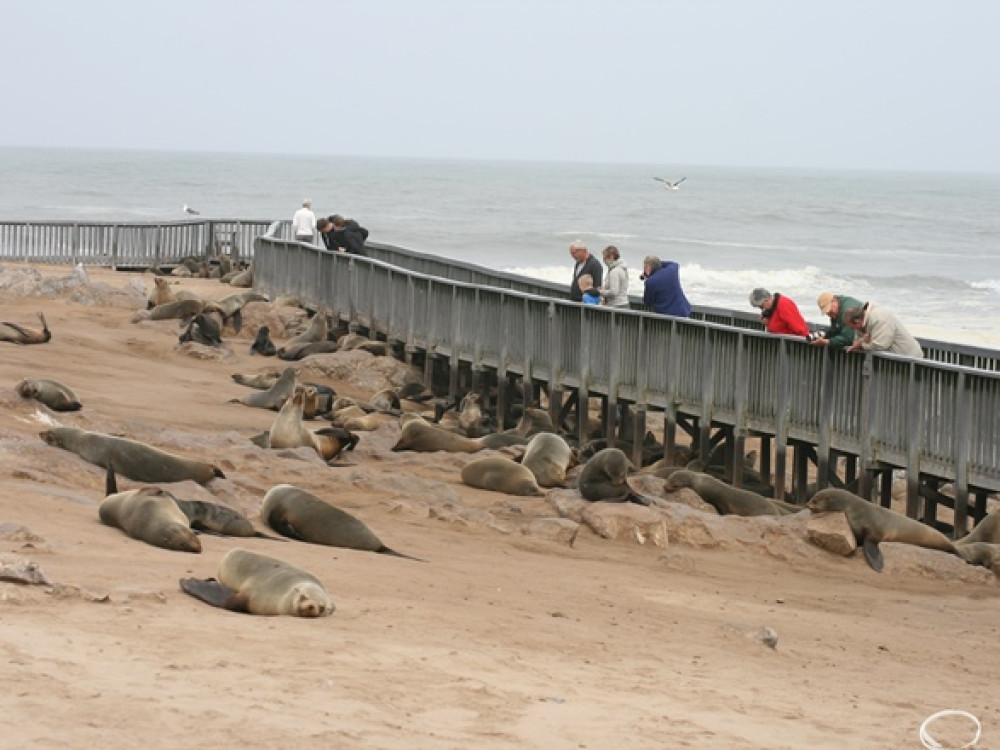 Wandelpad bij Cape Cross