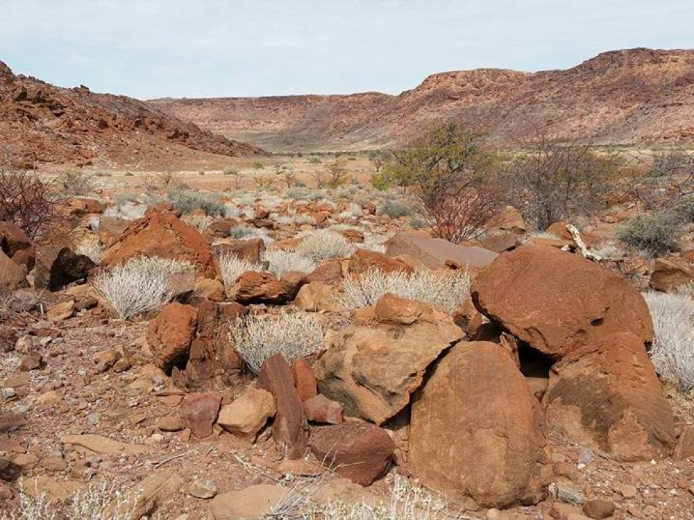 Natuur Twyfelfontein