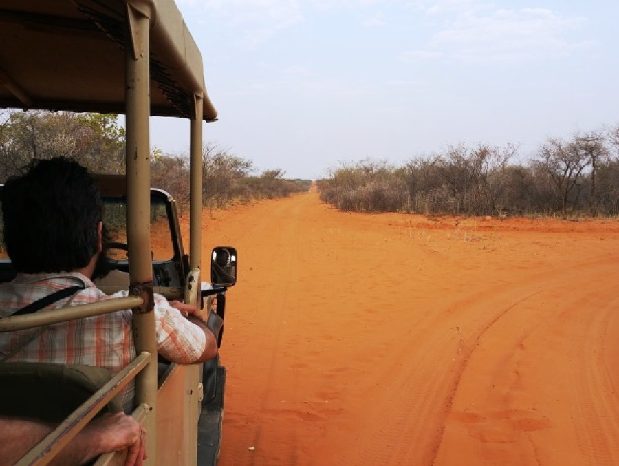 Safari tour Waterberg