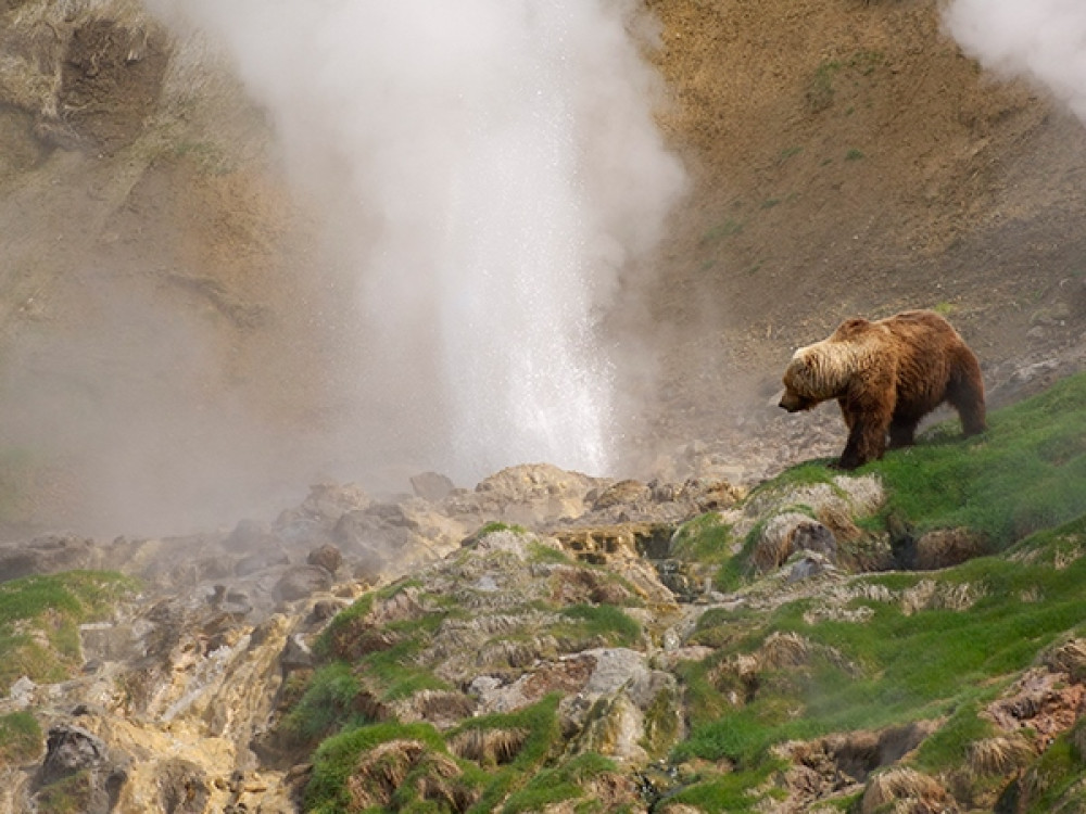 Valley of geysers