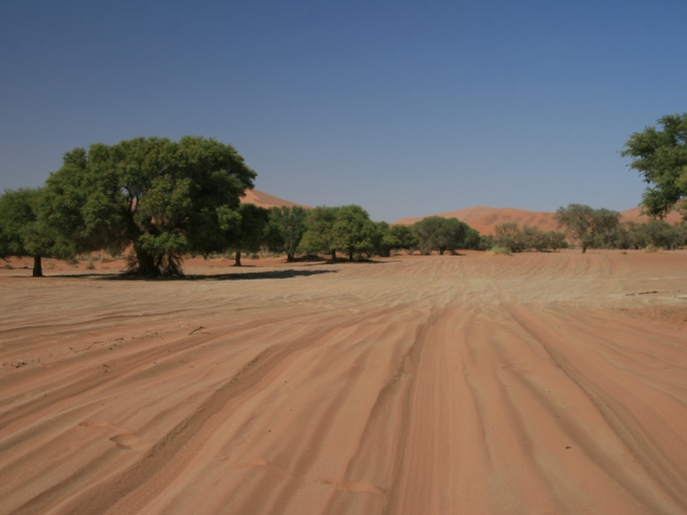 Laatste stuk weg naar Sossusvlei