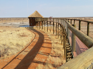 Afbeelding voor Olifantsrus - Etosha