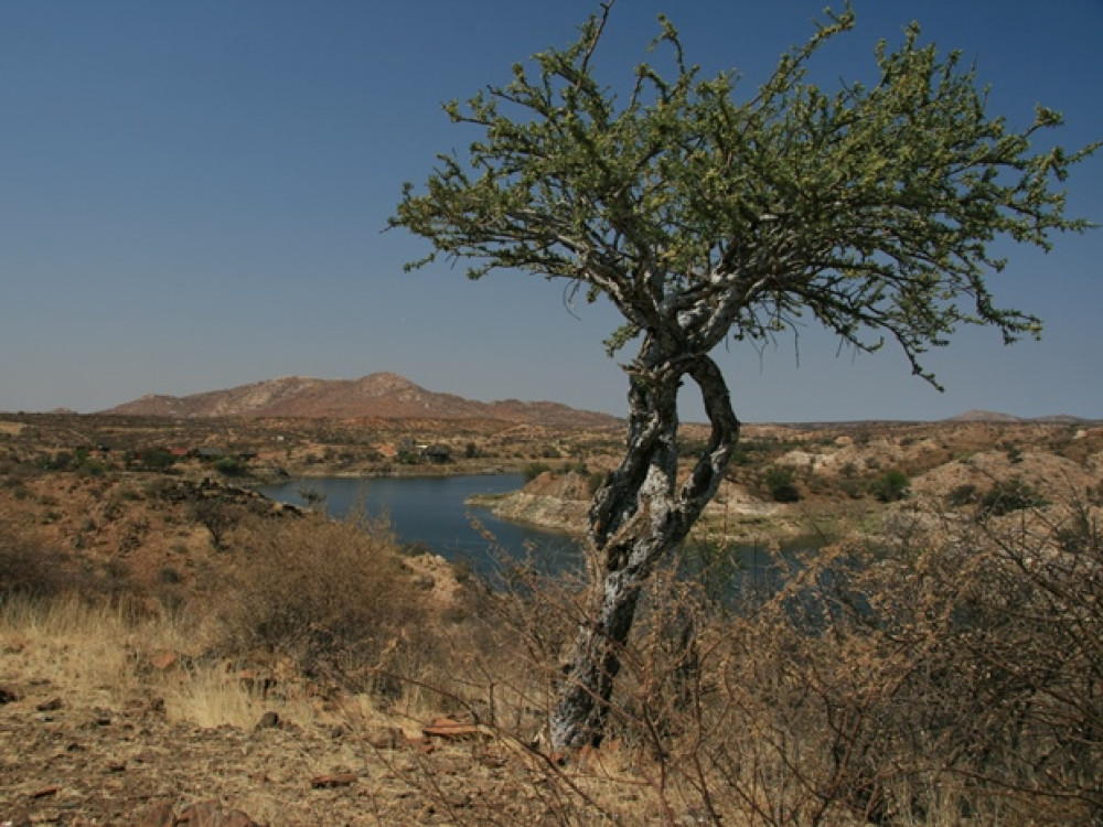 Natuur Lake Oanob