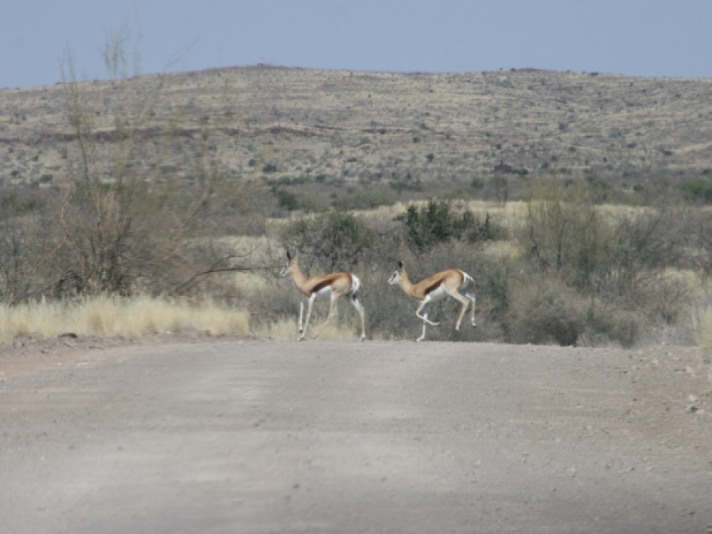 Weg in Hardap