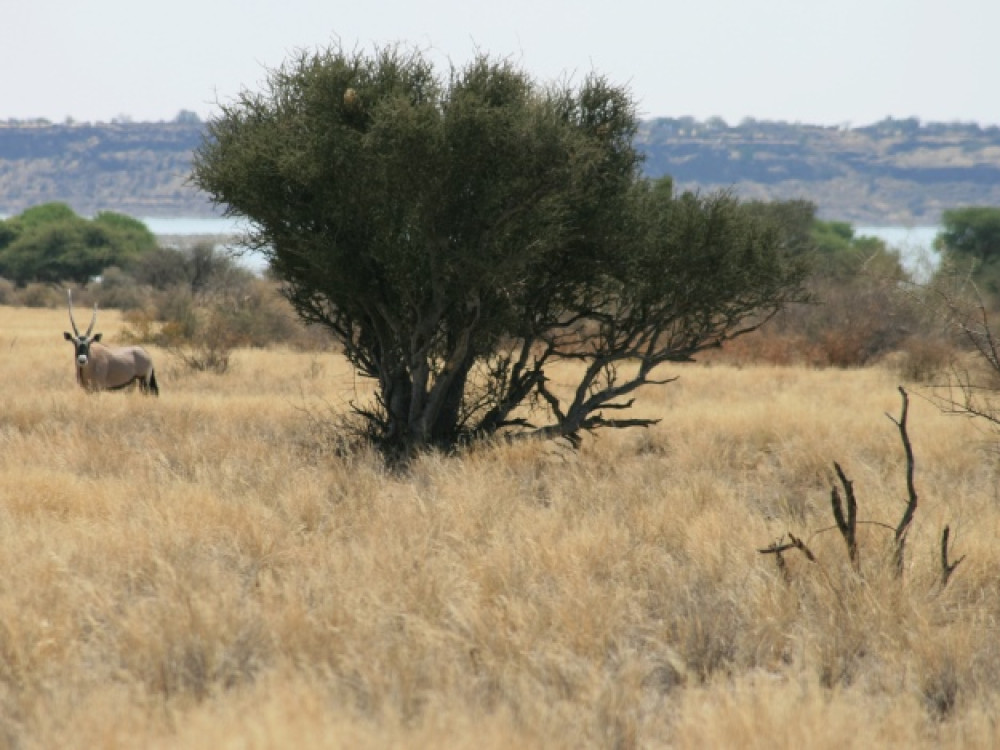 Hardap game reserve