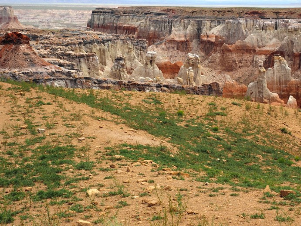 Coal Mine Canyon