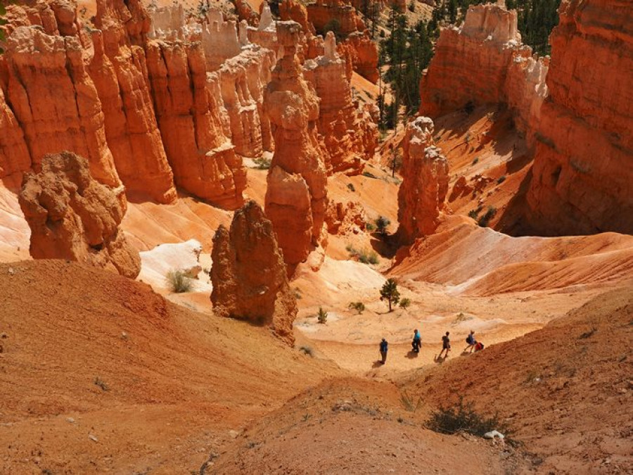 Hoodoos Bryce