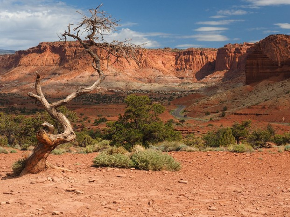 Capitol Reef