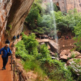 Afbeelding voor Wandelen in Zion Nationaal Park