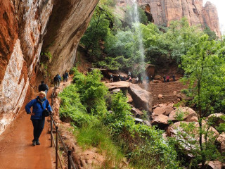 Afbeelding voor Wandelen in Zion Nationaal Park
