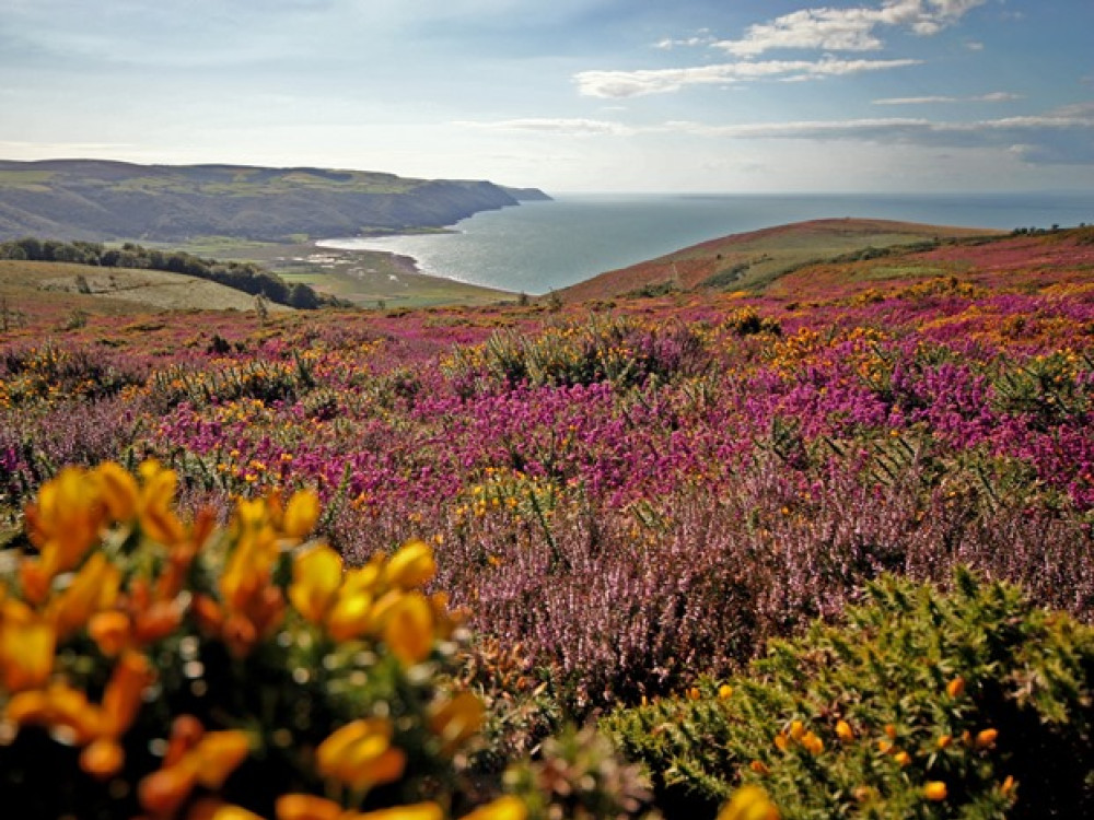 Exmoor National Park