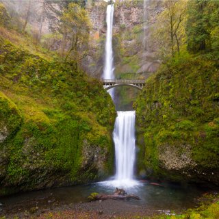 Afbeelding voor Oregon