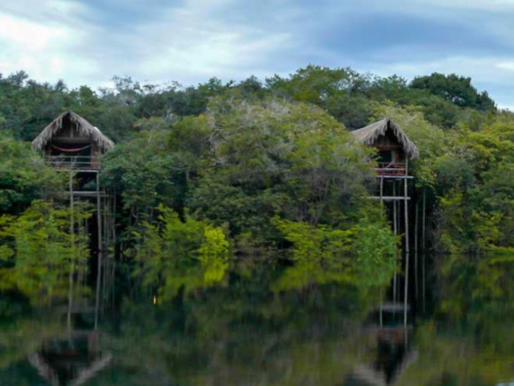 Korowai tree houses