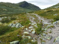 Peer Gynt route