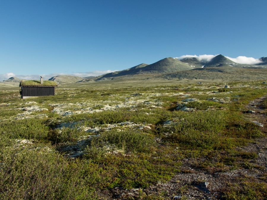 Rondane Nationaal Park