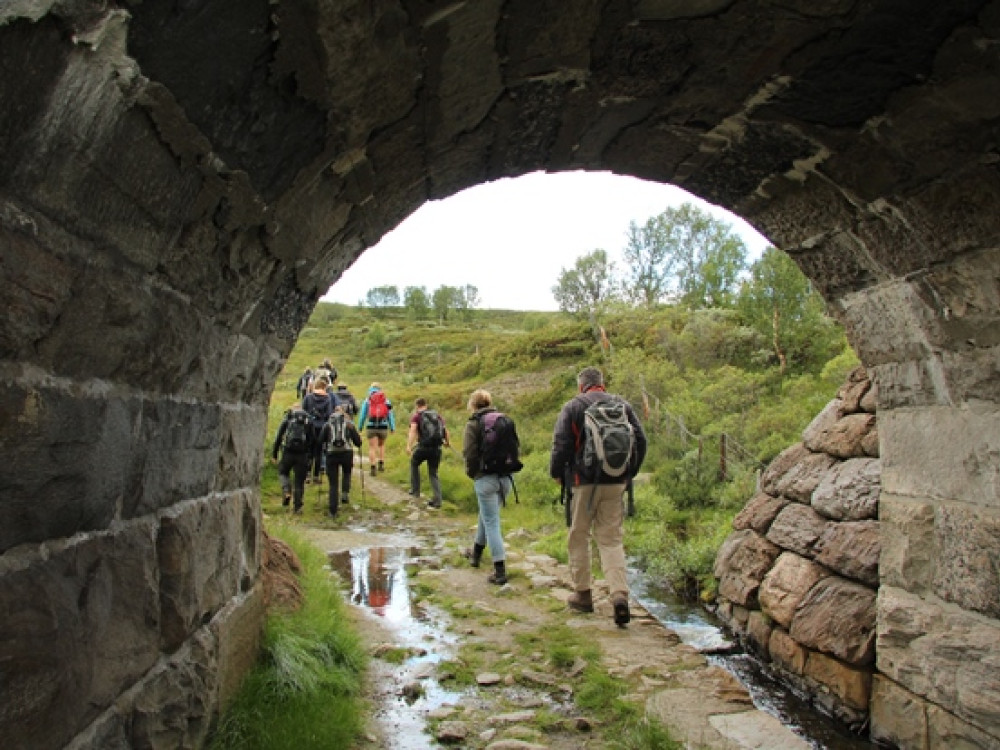 Wandeling Dovrefjell