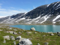 Fylkesvei 258