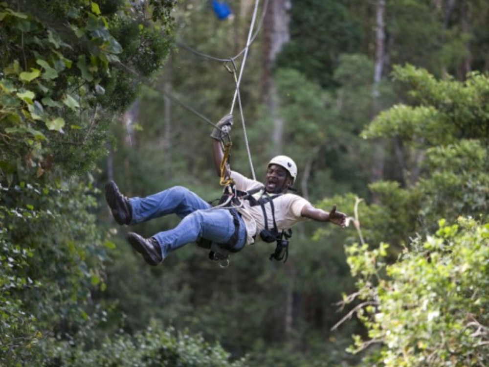 Canopy tour