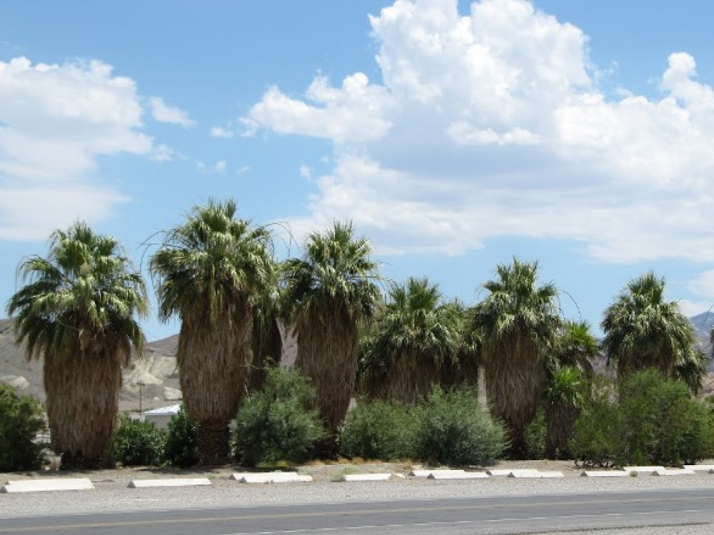 Furnace Creek