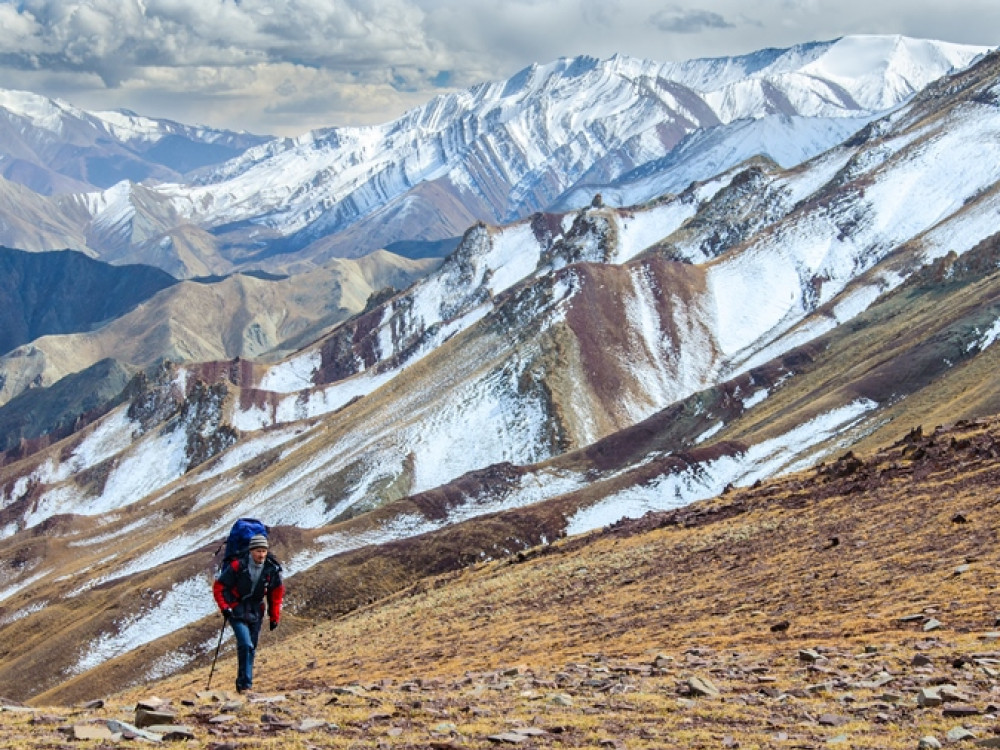 Ladakh natuur