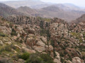 Natuur in Dana