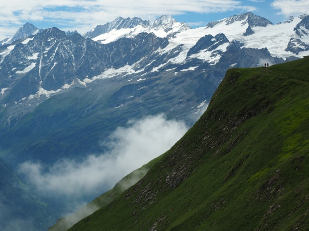 Alpen Tower - Plan Platten