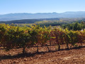 Bierzo wijnstreek
