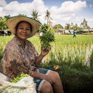 Afbeelding voor Noord-Thailand