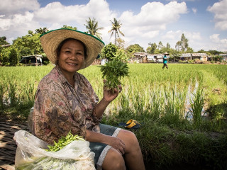 Afbeelding voor Noord-Thailand