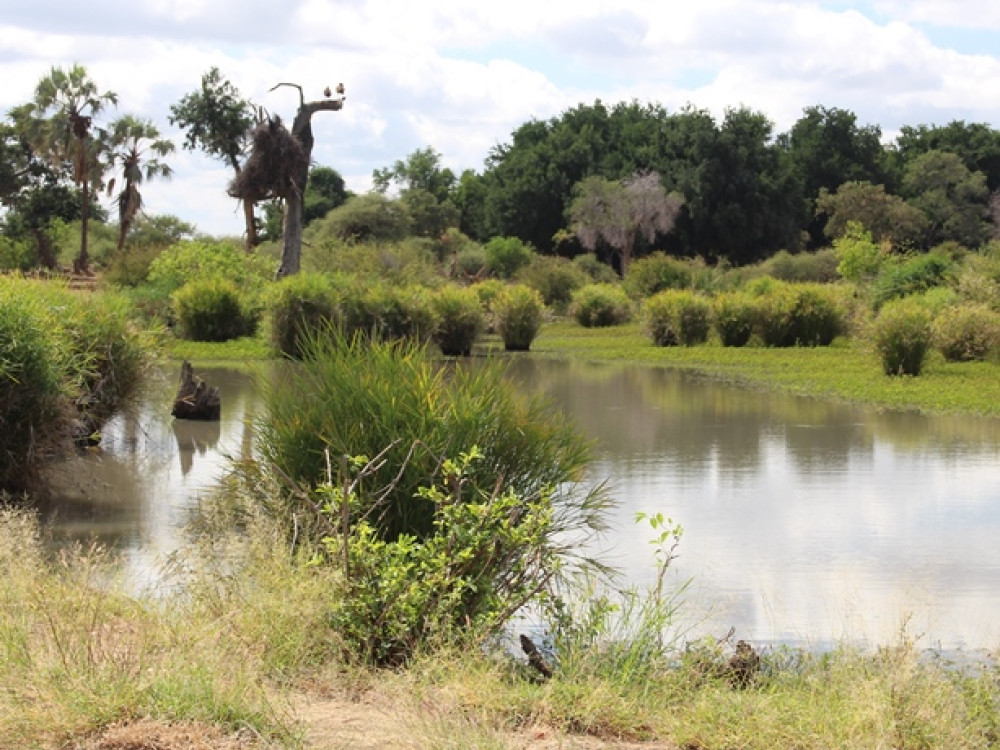 Natuur Mapungubwe