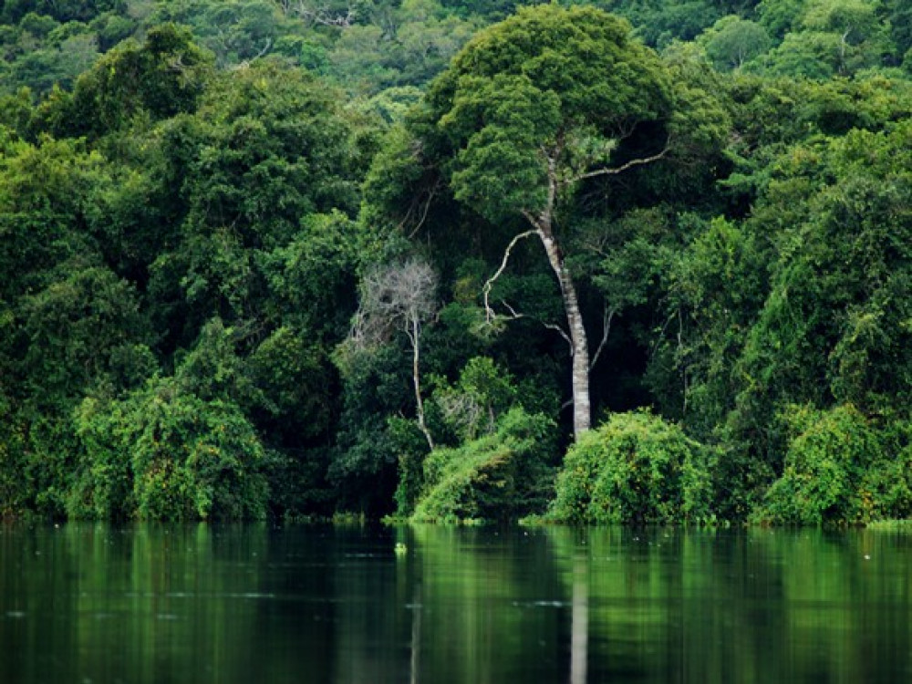 Natuur Tocantins