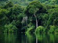 Natuur Tocantins