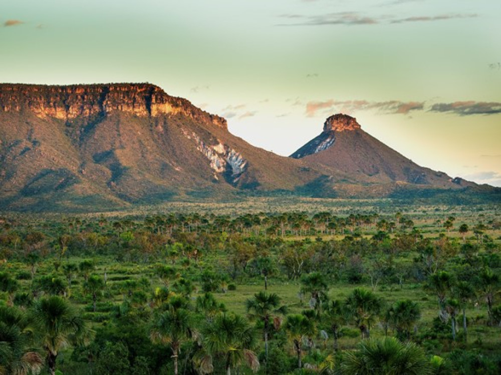 Tocantins natuur