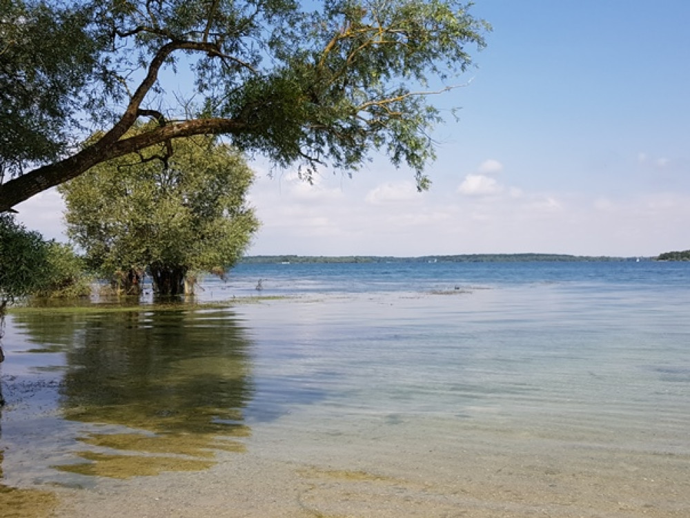 Natuur Foret d'Orient