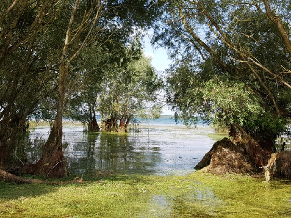 Natuur bij Troyes